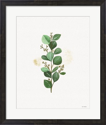 Framed Eucalyptus II Print