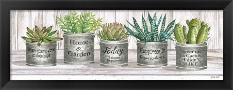 Framed Galvanized Pot Succulents II Print