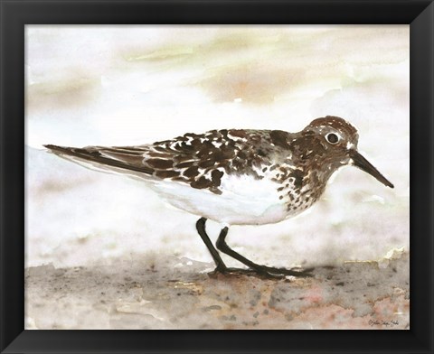 Framed Sandpiper 1 Print