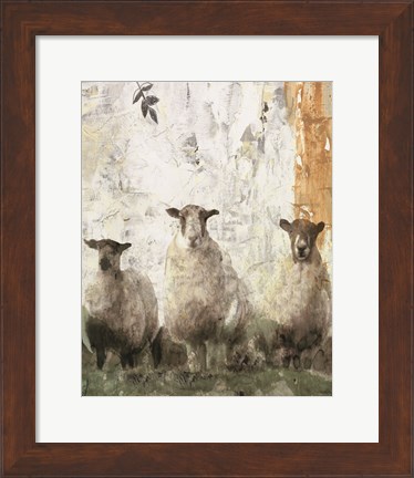 Framed Three Sheep Print