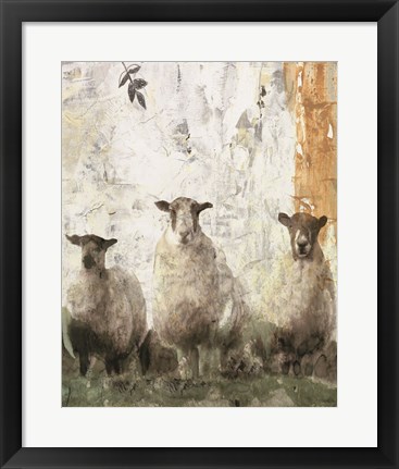 Framed Three Sheep Print