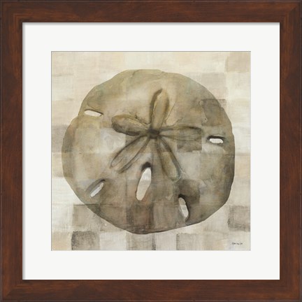 Framed Sand Dollar Print