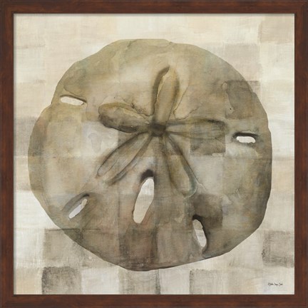 Framed Sand Dollar Print