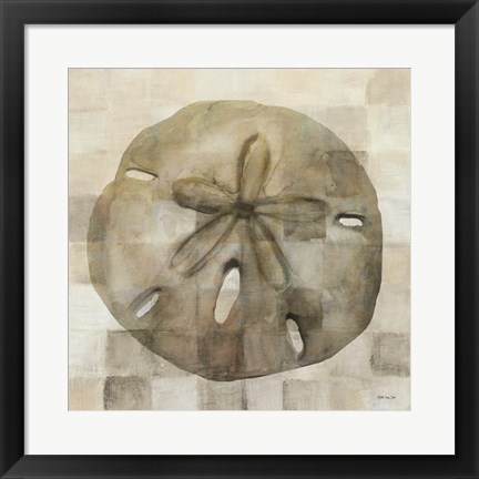 Framed Sand Dollar Print