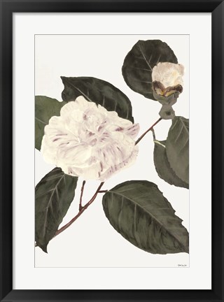 Framed White Botanical I Print