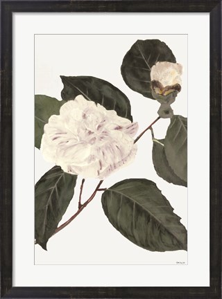 Framed White Botanical I Print