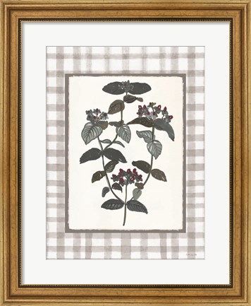 Framed Floral Medley 1 Print