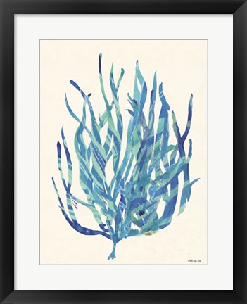 Framed Coral Medley 1 Print