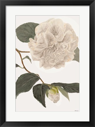 Framed White Botanical II Print