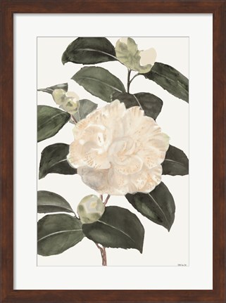 Framed White Botanical III Print