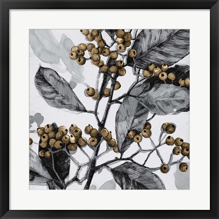 Framed Holly Shadow I Print