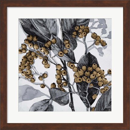 Framed Holly Shadow II Print