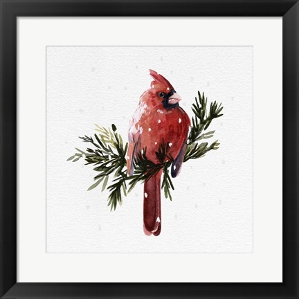 Framed Cardinal with Snow I Print