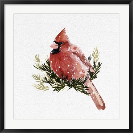 Framed Cardinal with Snow II Print