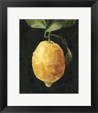 Framed Dark Lemon I Print