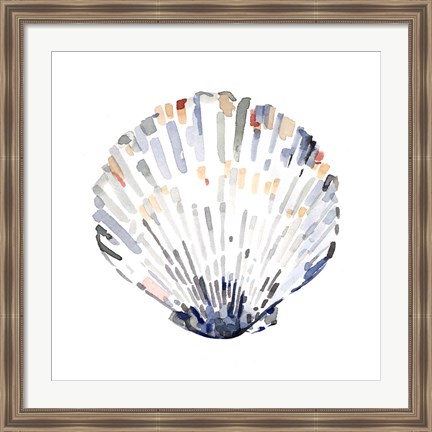 Framed Simple Shells III Print