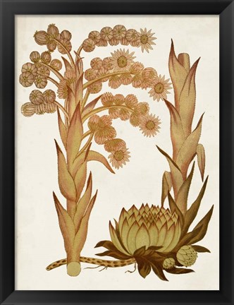 Framed Muted Botanicals II Print