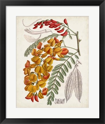 Framed Delicate Tropicals IX Print