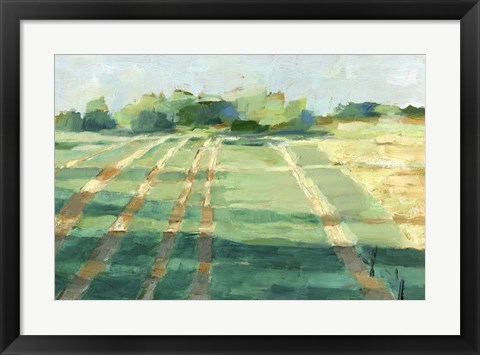 Framed Mid Summer Shadows I Print