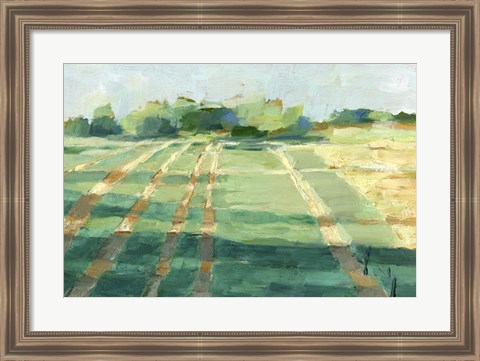 Framed Mid Summer Shadows I Print