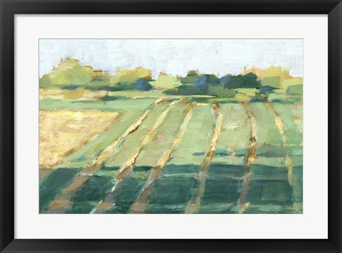 Framed Mid Summer Shadows II Print