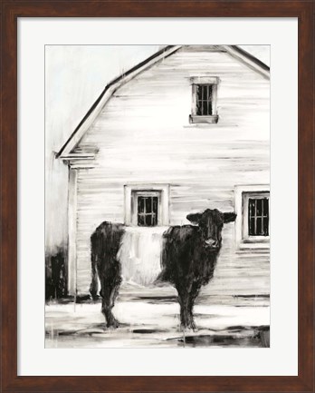 Framed Belted Galloway I Print