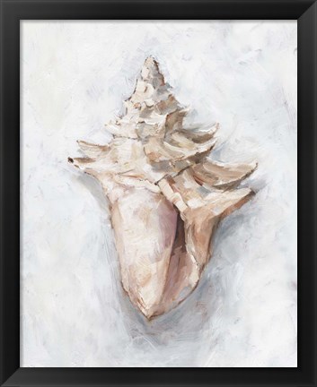 Framed White Shell Study I Print