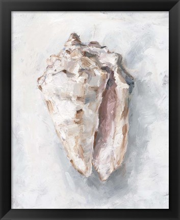 Framed White Shell Study II Print