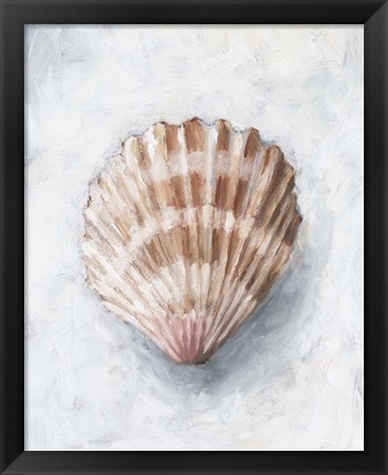 Framed White Shell Study IV Print