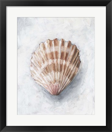 Framed White Shell Study IV Print