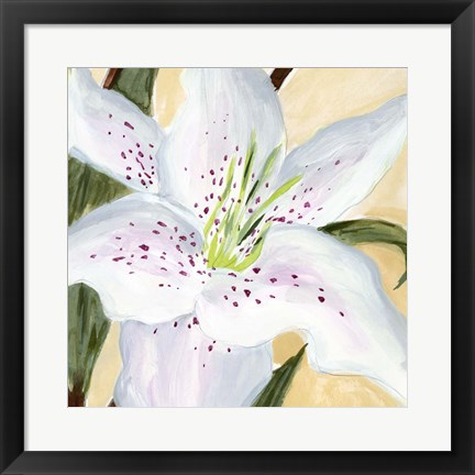 Framed White Lily I Print