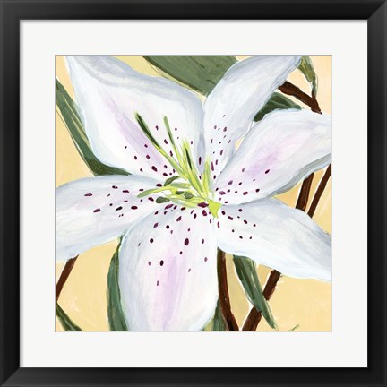 Framed White Lily II Print