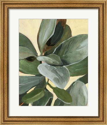 Framed Plant Study I Print