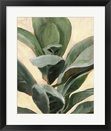 Framed Plant Study II Print