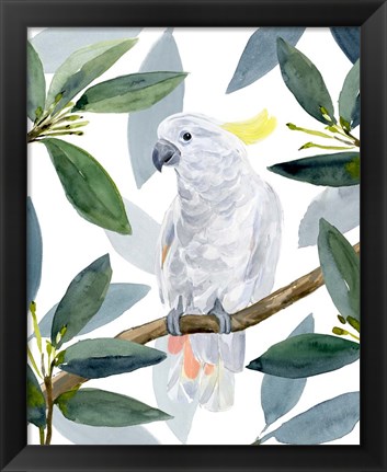 Framed Cockatoo Perch II Print