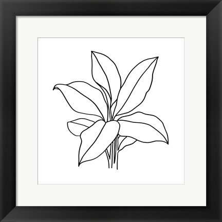 Framed Foliage Contour II Print