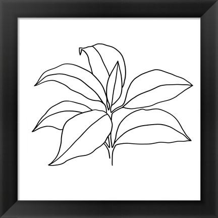 Framed Foliage Contour III Print