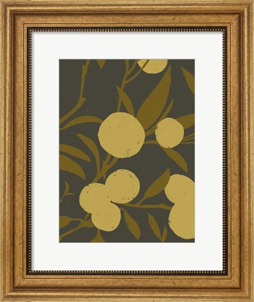 Framed Golden Satsuma II Print