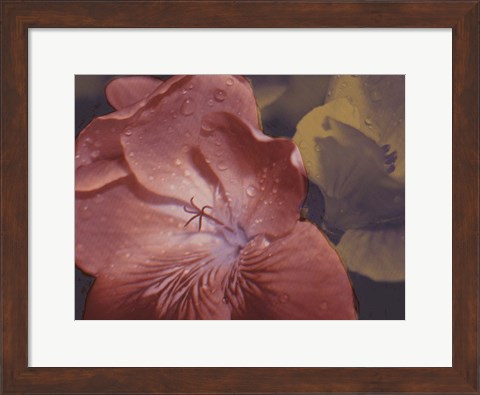 Framed Garden Geraniums II Print