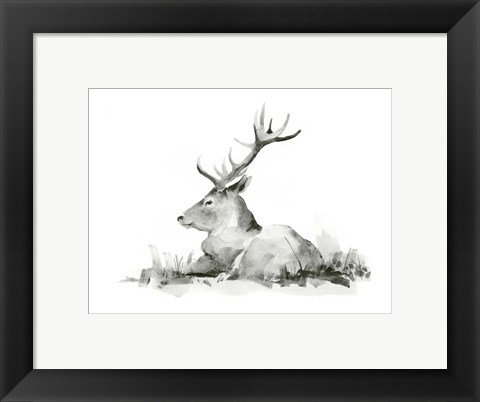 Framed Recumbent Stag II Print