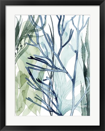 Framed Sea Leaves II Print