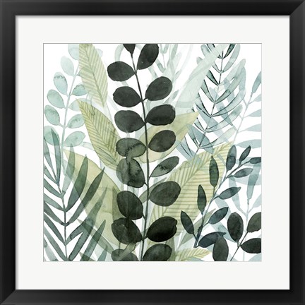 Framed Forest Forage III Print