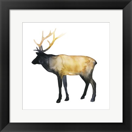 Framed Elk Aglow I Print