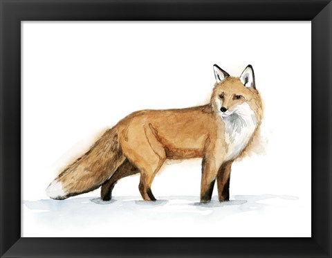 Framed Snow Fox I Print