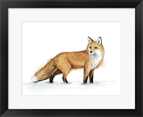 Framed Snow Fox I Print