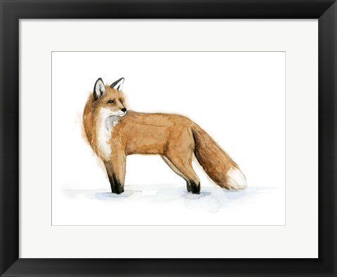 Framed Snow Fox II Print