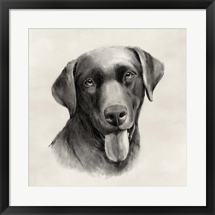 Framed Charcoal Labrador I Print