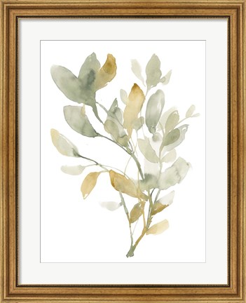 Framed Sage &amp; Sienna Leaves I Print
