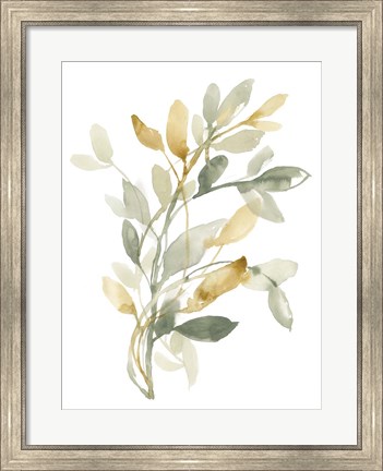 Framed Sage &amp; Sienna Leaves II Print