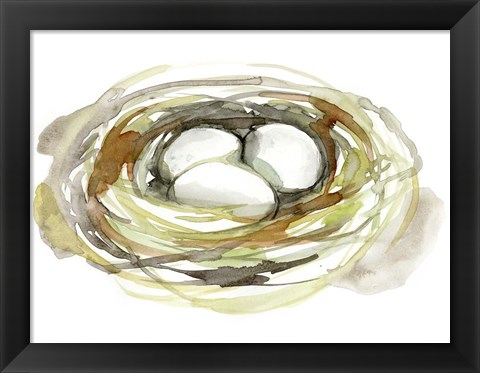 Framed Watercolor Nest I Print